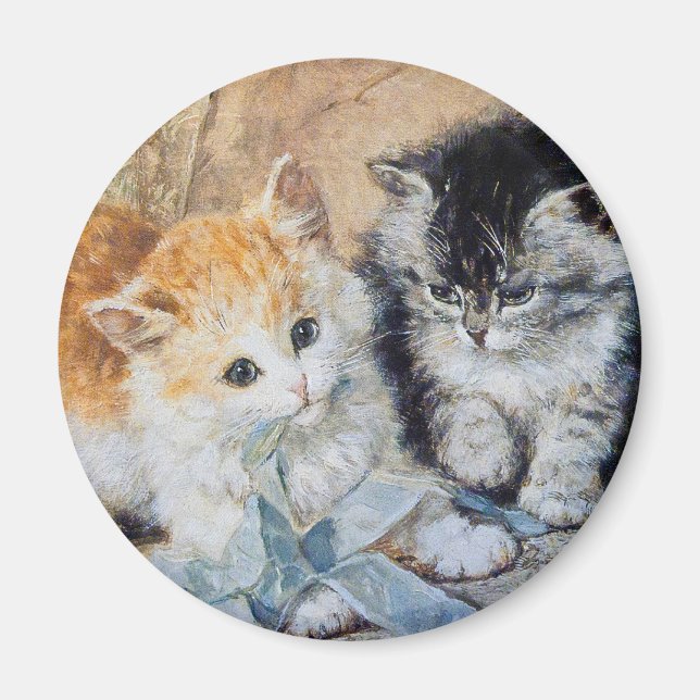 Kittens vid Play Magnet (Framsidan)
