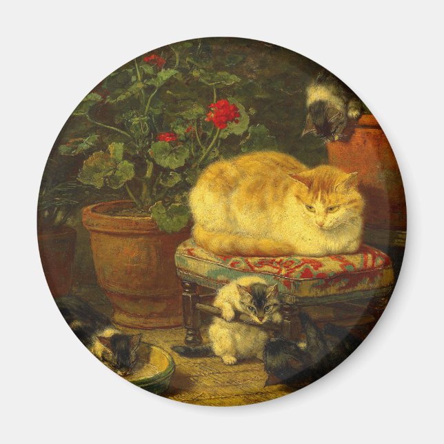 Kittens vid Play Magnet (Framsidan)