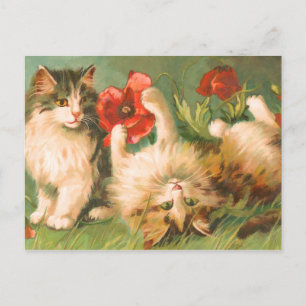 Kittens vid Play Postcard Vykort