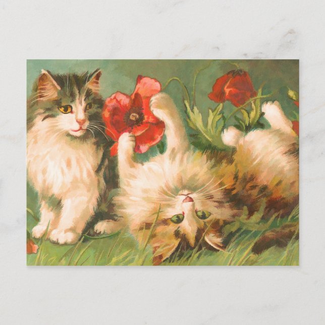 Kittens vid Play Postcard Vykort (Framsida)