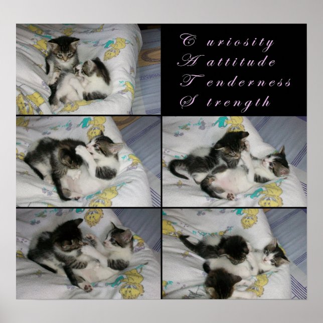 Kittens vid Play Poster (Framsidan)