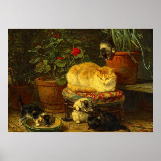 Kittens vid Play Poster (Framsidan)