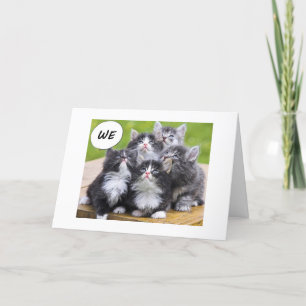 KITTENS VILL HA BÄSTA VÄNNEN GRATTIS PÅ FÖDELSEDAG KORT