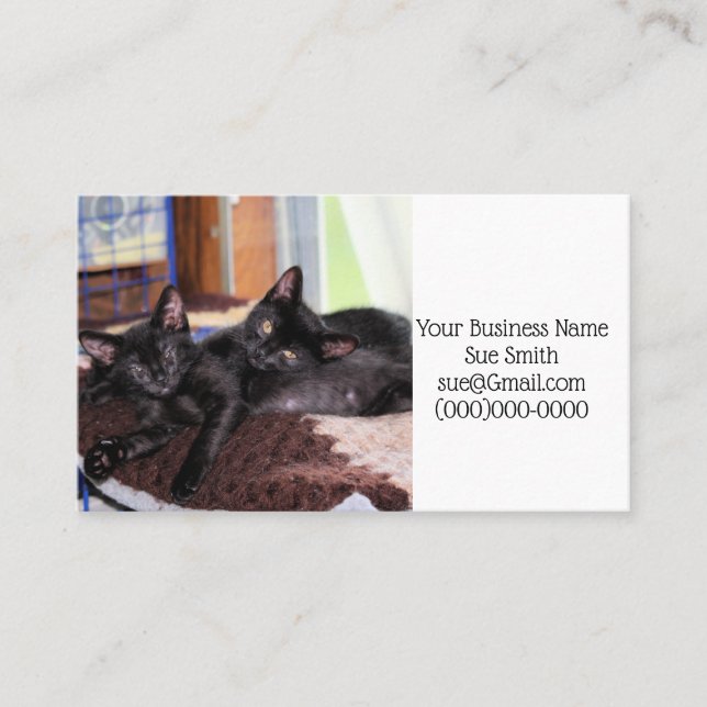 Kittens Visitkort (Framsida)