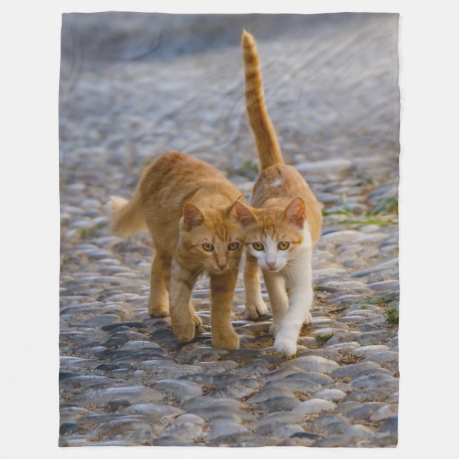 Kittens Walk, Cute Suppleant, Väg - mjuk Fleecefilt (Framsidan)