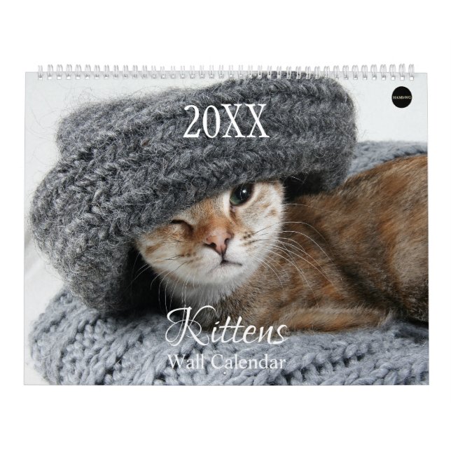 Kittens Wall Calendar - HAMbyWG Kalender (Omslag)