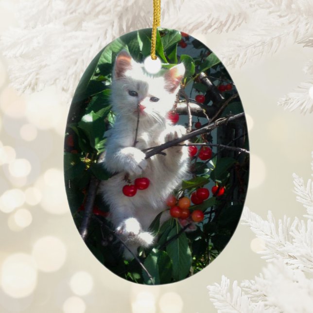 Kittenskinn Minnessaker Tvåsidig Foto Julgransprydnad Keramik (Kitten Keepsake Two Sided Photo Ceramic Ornament)