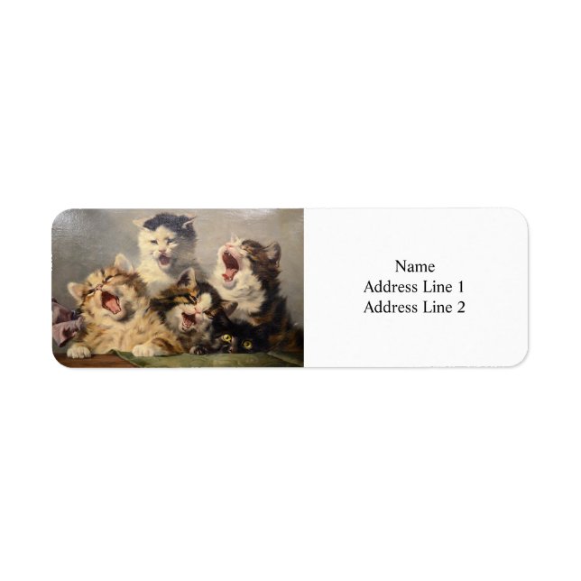 Kittensymfoni av Julius Adam II Returadress Etikett (Framsidan)