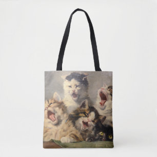 Kittensymfoni av Julius Adam II Tygkasse