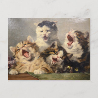 Kittensymfoni av Julius Adam II Vykort