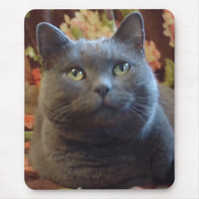 Kittlingar Musmatta (Framsidan)