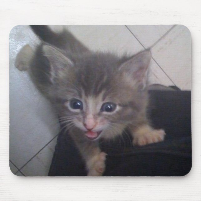 kittty musmatta (Framsidan)