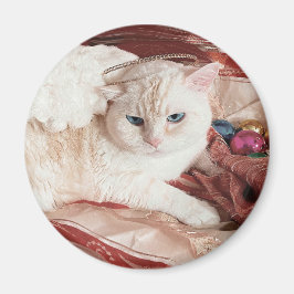 Kitty Angel for Christmas Magnet