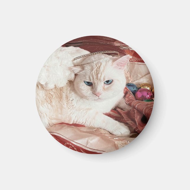 Kitty Angel for Christmas Magnet (Framsidan)