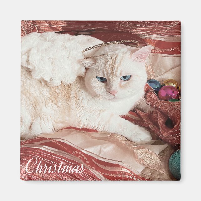 Kitty Angel for Christmas Magnet (Framsidan)