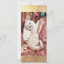 Kitty Angel till jul