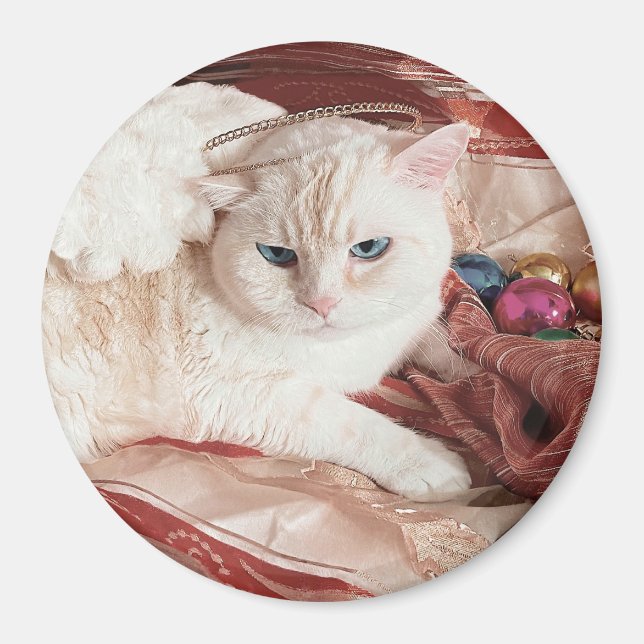 Kitty Angel till jul Magnet (Framsidan)