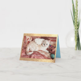 Kitty Angel till jul Tack Kort