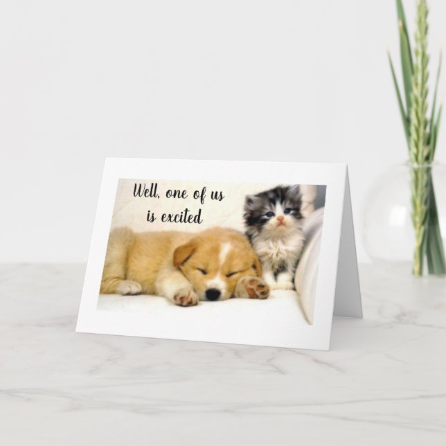 **KITTY** ÄR UPPHETAD FÖR DIN **80-ÅRSDAG* KORT (Framsida)