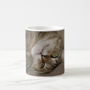 Kitty Cute Mugg