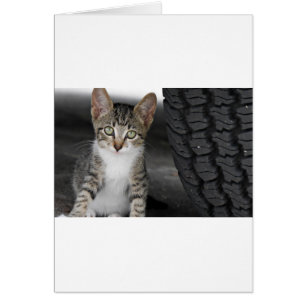 Kitty.JPG Hälsningskort
