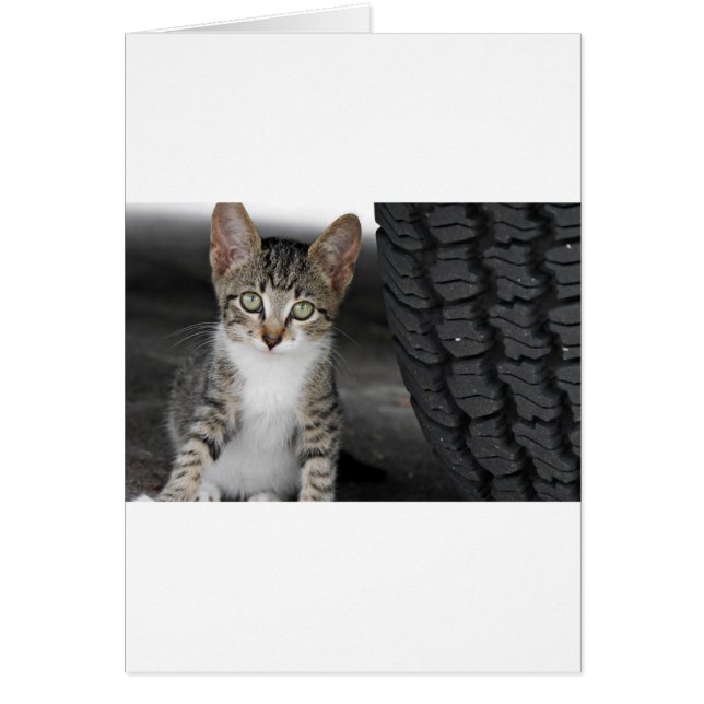 Kitty.JPG Hälsningskort (Framsidan)