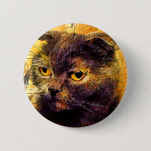 Kitty. Knapp