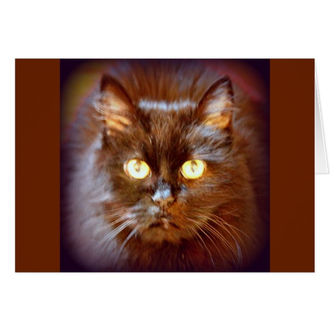 kittykatt hälsningskort (Framsidan Horizontal)