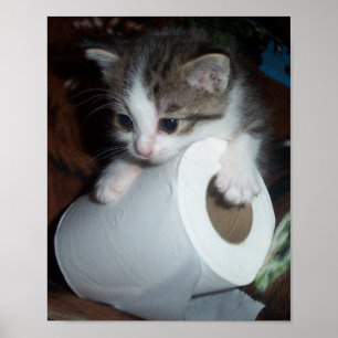 Kittypaper Poster
