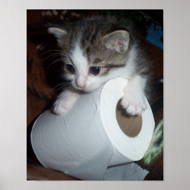 Kittypaper Poster (Framsidan)