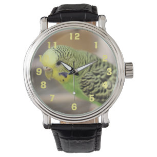 Kiwi Armbandsur