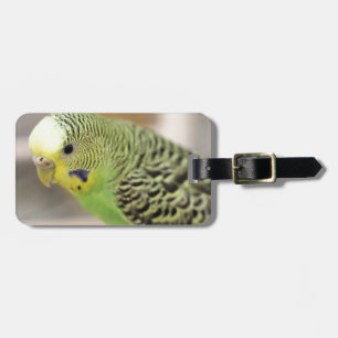 Kiwi Bagagebricka