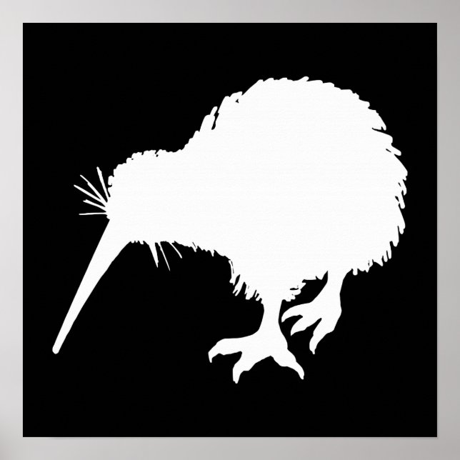 Kiwi Bird Poster (Framsidan)