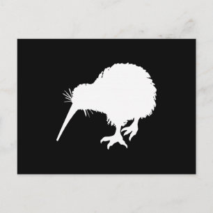 Kiwi Bird Vykort
