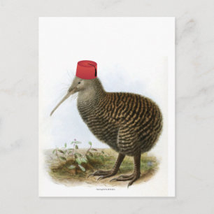Kiwi Bird Wearing Fez Absurd Vintage Vykort