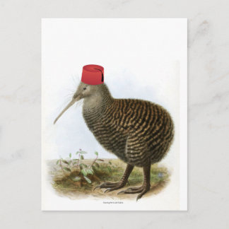 Kiwi Bird Wearing Fez Absurd Vintage Vykort