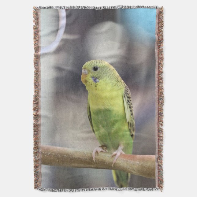 Kiwi Burbell Filt (Framsidan Vertikal)