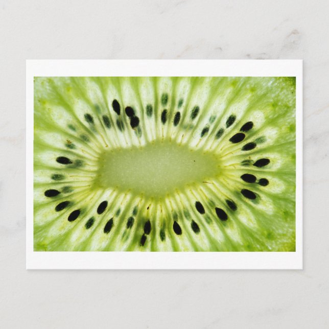 Kiwi Close-up Photo Postcard Vykort (Framsida)