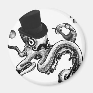 Kiwi den utsmyckade bläckfisken magnet