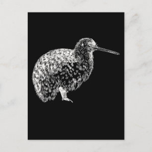 Kiwi Fågel Porträtt Nya Zeeland Djur Vykort