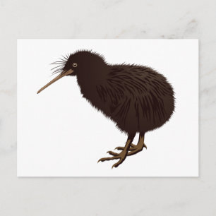 Kiwi fågel vykort