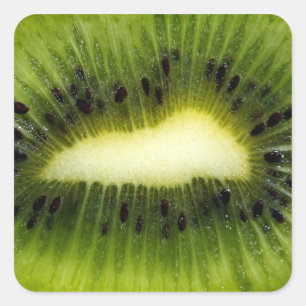 Kiwi Fruit Fyrkantigt Klistermärke