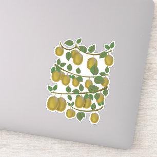 Kiwi Frukt Klistermärken