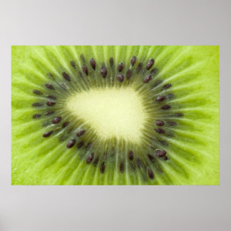 Kiwi-frukt. Poster