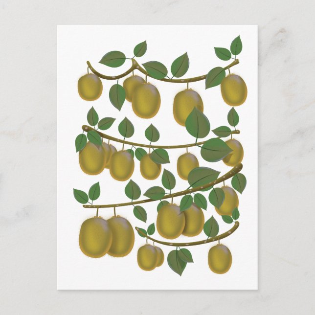 Kiwi Frukt Vykort (Framsida)