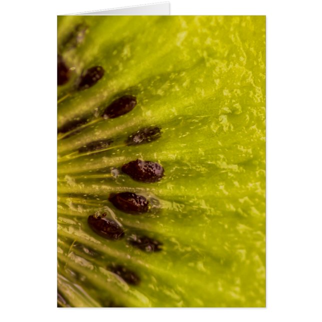 Kiwi Hälsningskort (Framsidan)