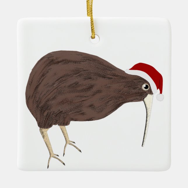 Kiwi Helgdag Ornament (Framsida)