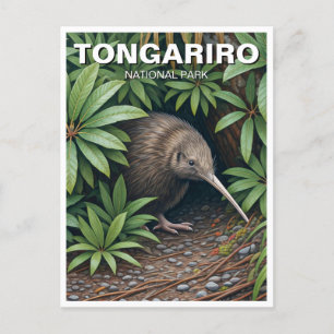 Kiwi i Tongariro National Park Nya Zeeland Vykort