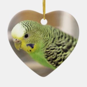 Kiwi Julgransprydnad Keramik