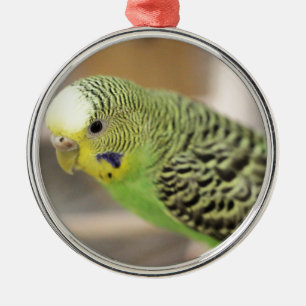 Kiwi Julgransprydnad Metall